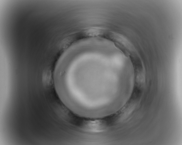 X0000098100411200804111027