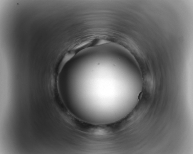 X0000098100412200804111027