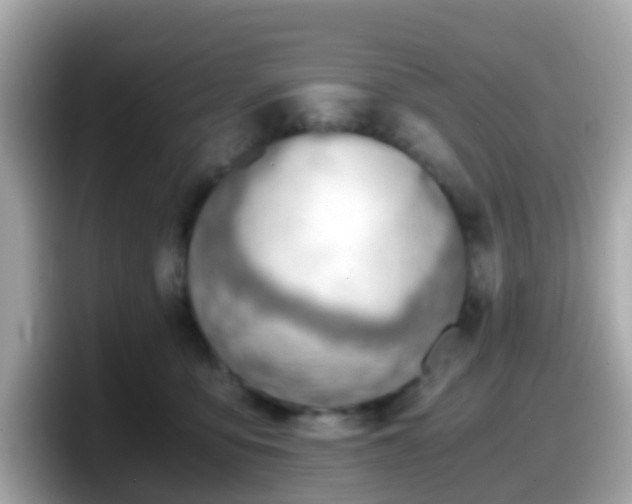X0000098100419200804111026