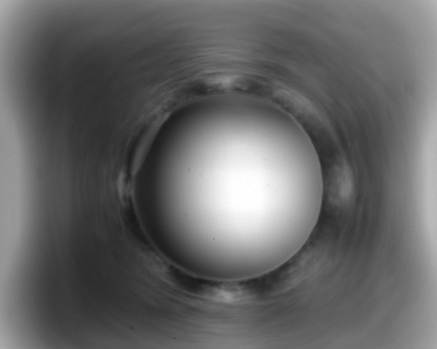X0000098100420200804111026
