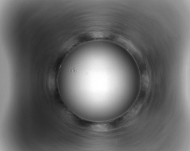 X0000098100422200804111026