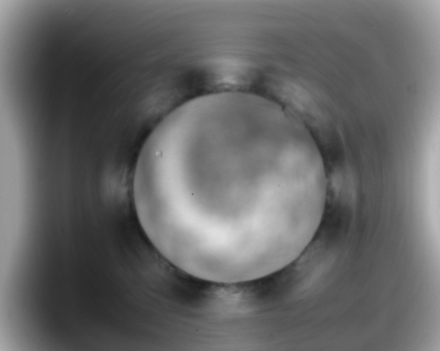 X0000098100423200804111026