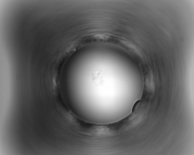 X0000098100424200804111026