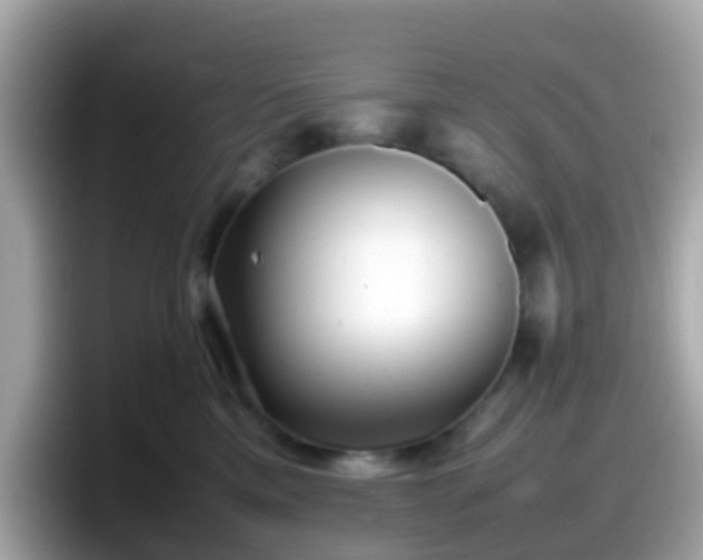 X0000098100425200804111026
