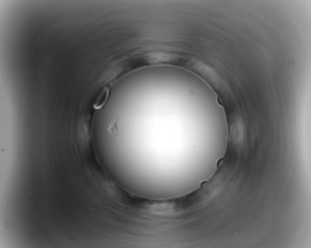 X0000098100426200804111026