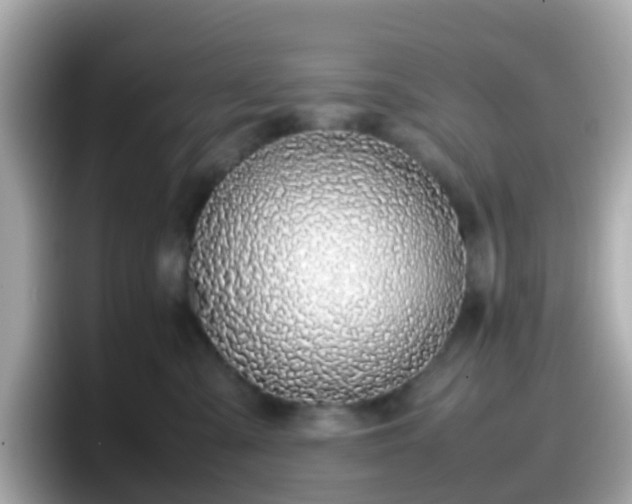 X0000098100427200804111026