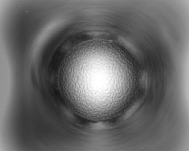 X0000098100430200804111026