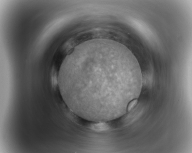X0000098100431200804111026