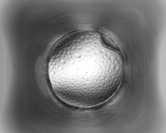 X0000098100433200804111026