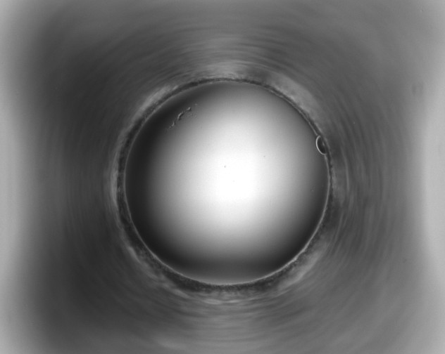 X0000098100434200804111026