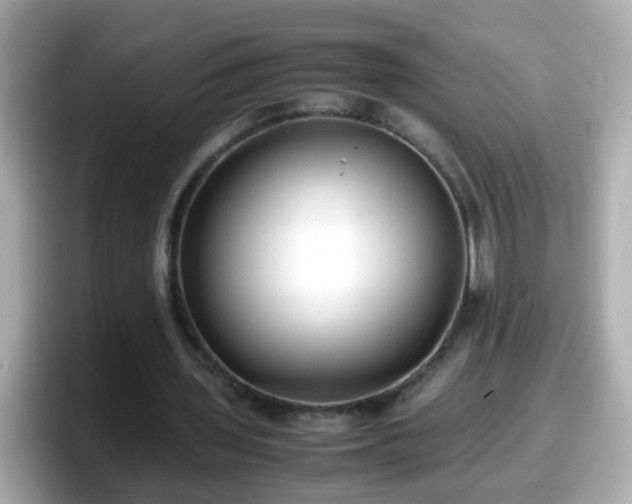 X0000098100435200804111026