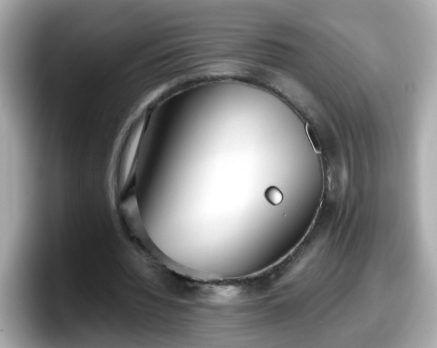 X0000098100436200804111026
