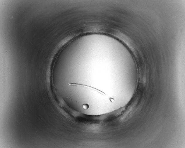 X0000098100437200804111026