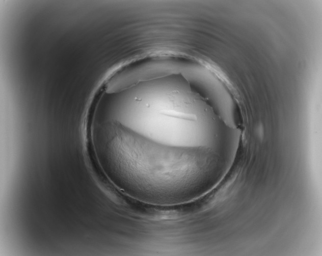 X0000098100438200804111026