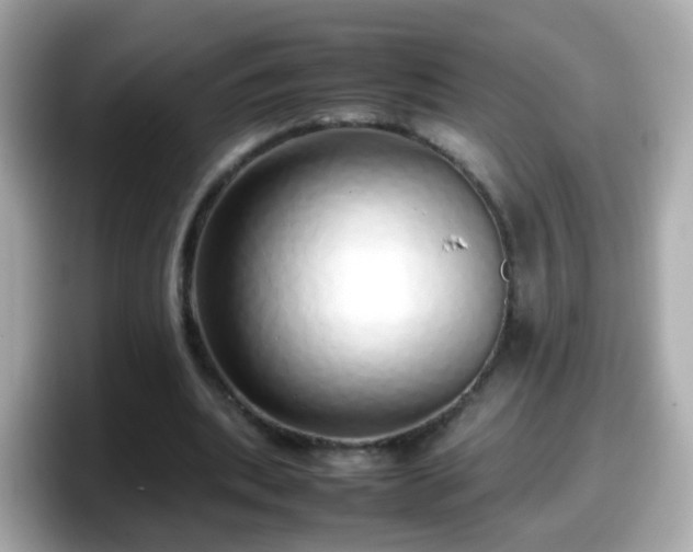 X0000098100439200804111026