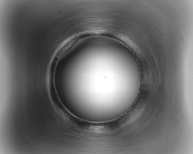X0000098100440200804111026