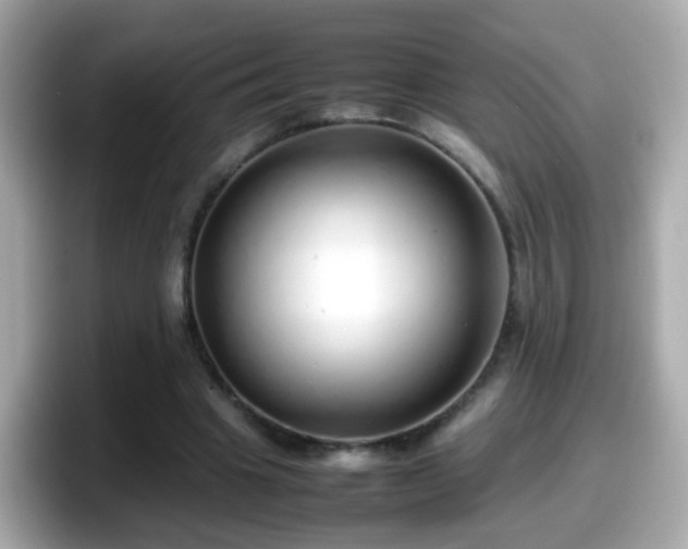 X0000098100441200804111026