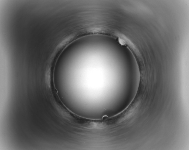 X0000098100442200804111026