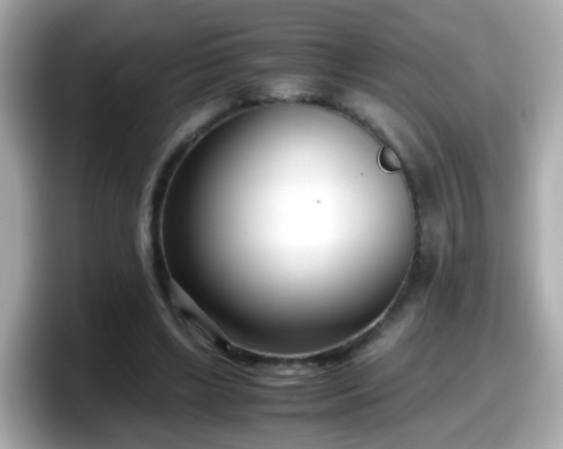 X0000098100443200804111026