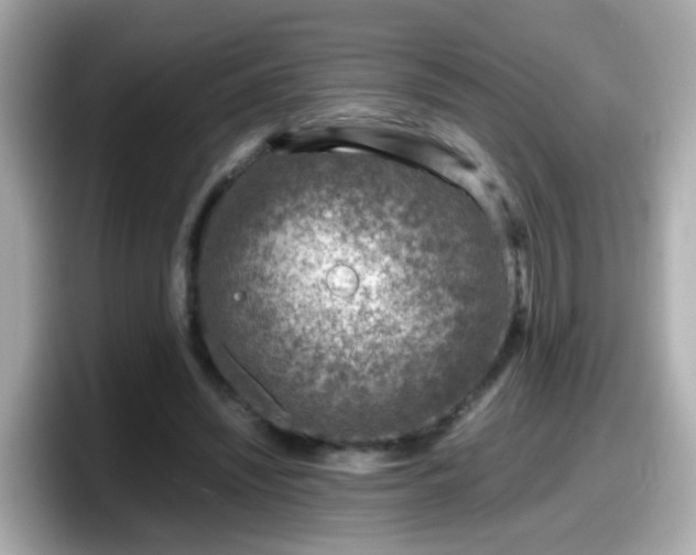X0000098100444200804111026
