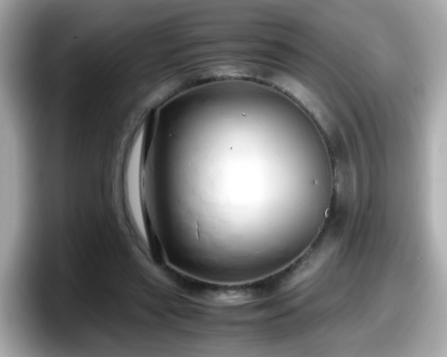 X0000098100445200804111026