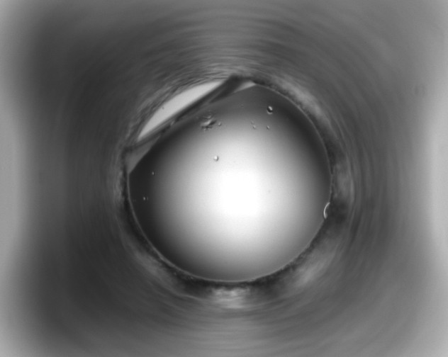 X0000098100450200804111026