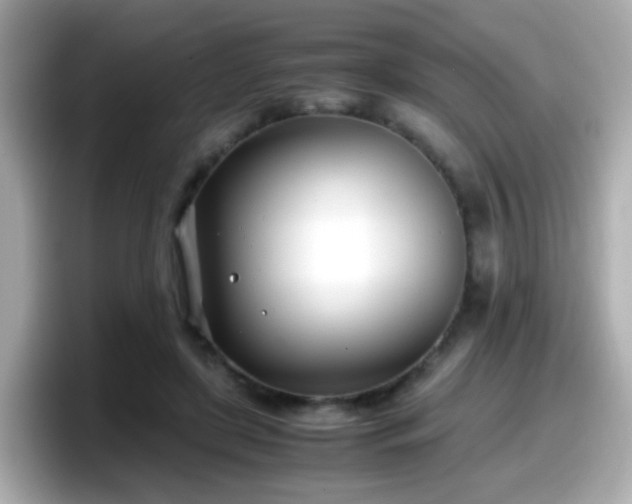 X0000098100451200804111026