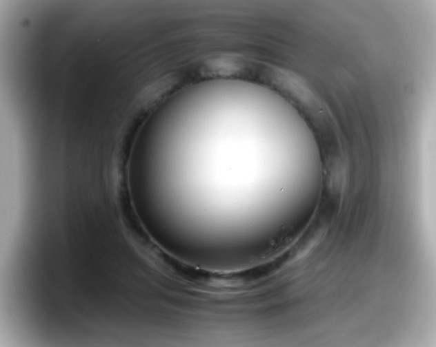 X0000098100455200804111026
