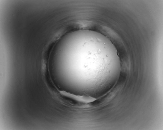X0000098100456200804111026