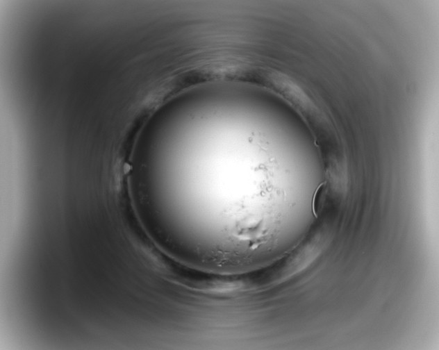 X0000098100458200804111026