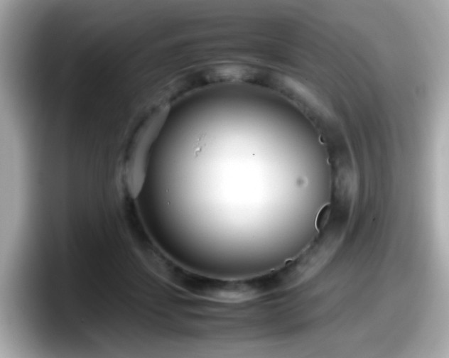X0000098100459200804111026