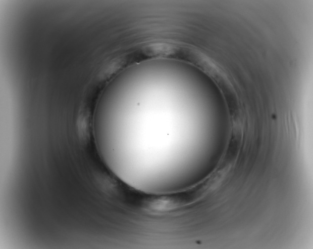 X0000098100460200804111026