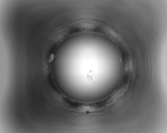 X0000098100464200804111026