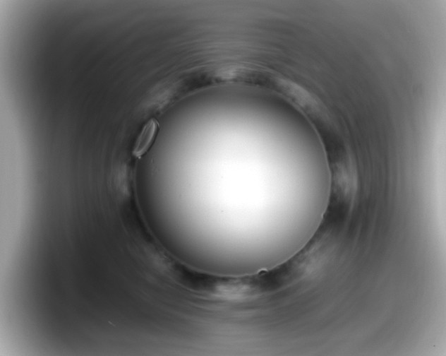 X0000098100470200804111026