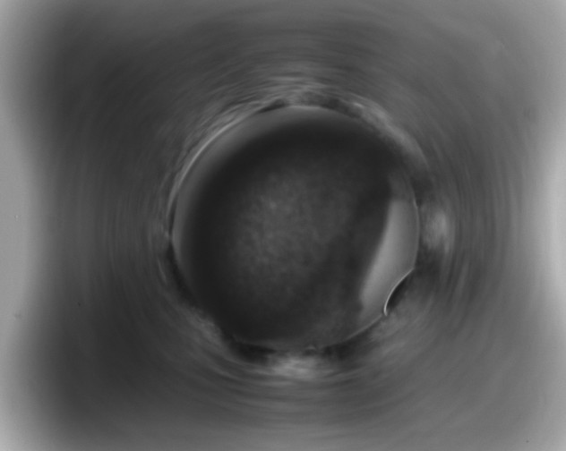 X0000098100471200804111026