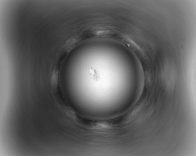 X0000098100475200804111026