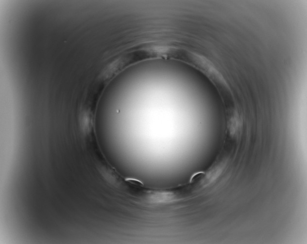 X0000098100476200804111026