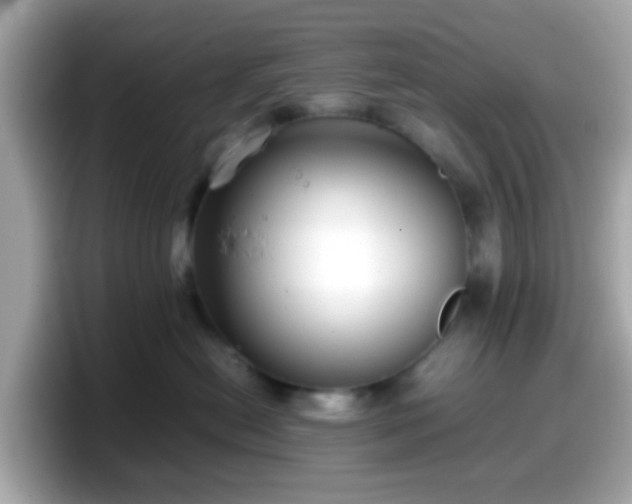 X0000098100478200804111026