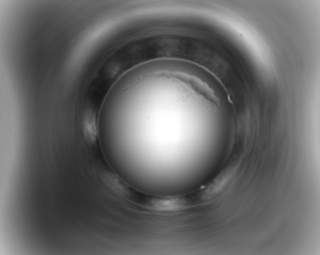 X0000098100479200804111026