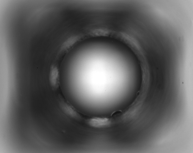 X0000098100480200804111026