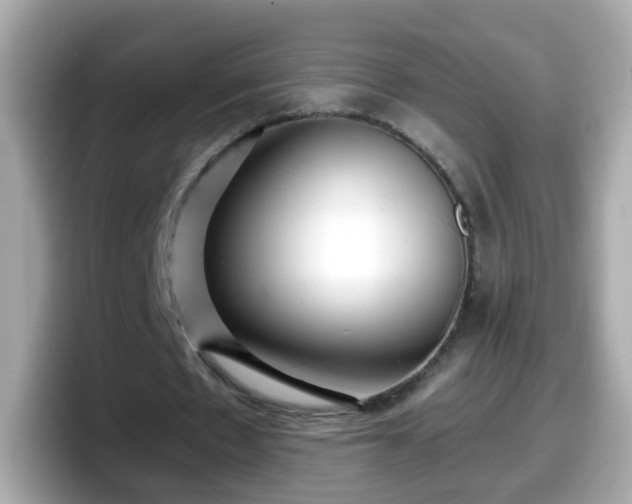 X0000098100481200804111026
