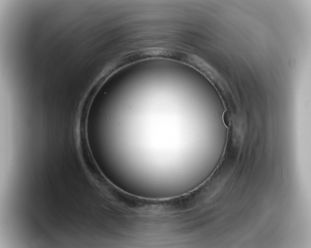 X0000098100482200804111026
