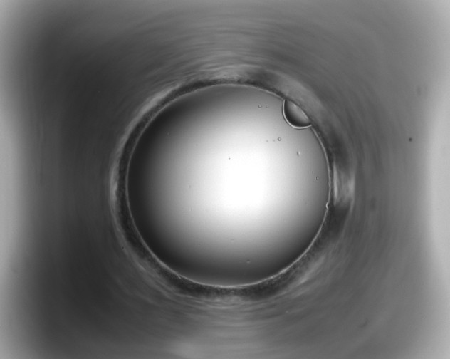 X0000098100483200804111026