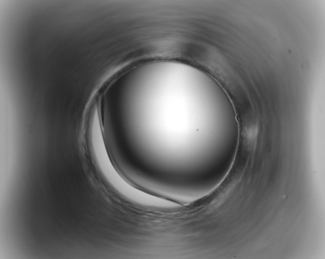 X0000098100484200804111026
