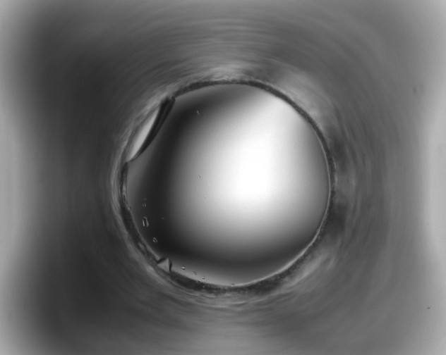 X0000098100485200804111026