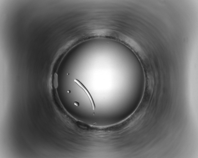 X0000098100486200804111026