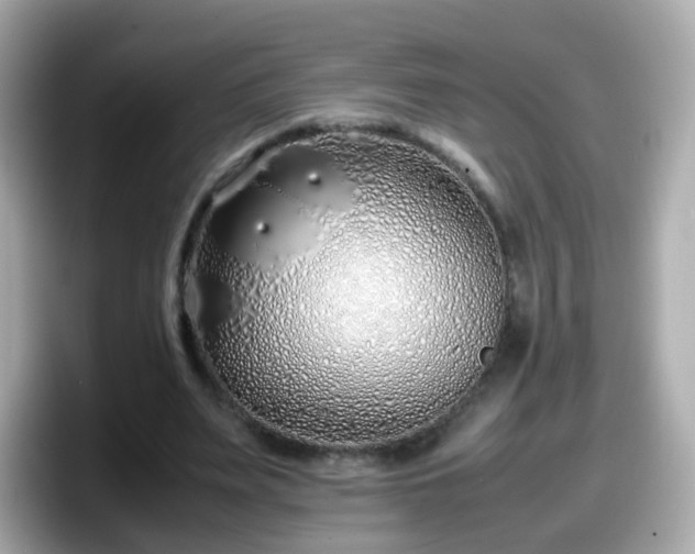X0000098100487200804111026