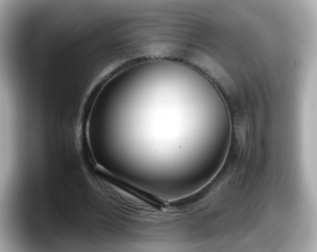 X0000098100488200804111026