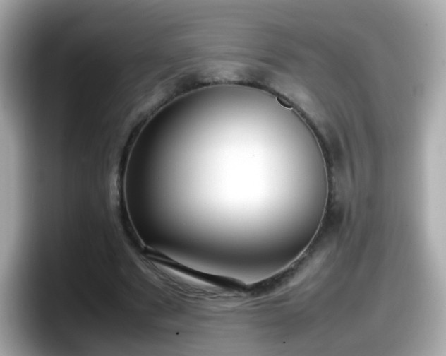 X0000098100489200804111026