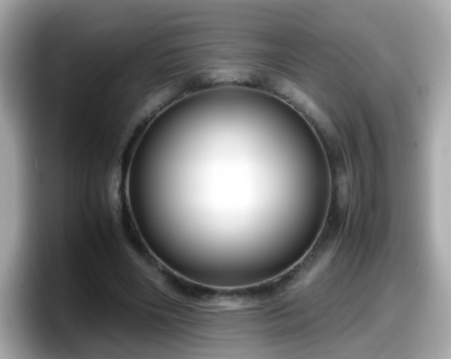 X0000098100490200804111025